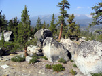 typical terrain in the Sierras