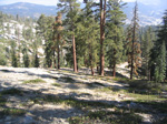 from the top, the road to Bald Mountain looks like a ride in the park